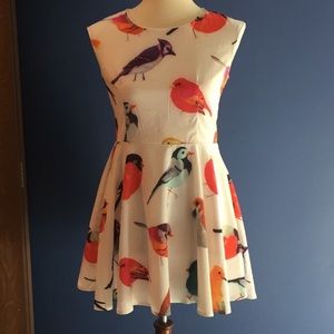 CUFN basic bird print dress
